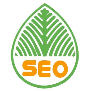 泰州提升网站移动适配的注意事项